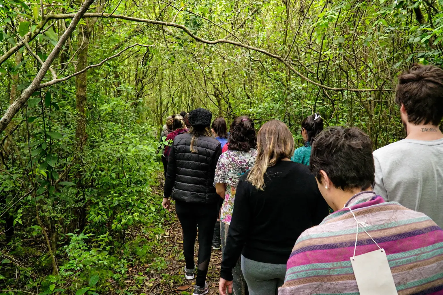 Grupo caminhando em fila por uma trilha cercada de vegetação densa