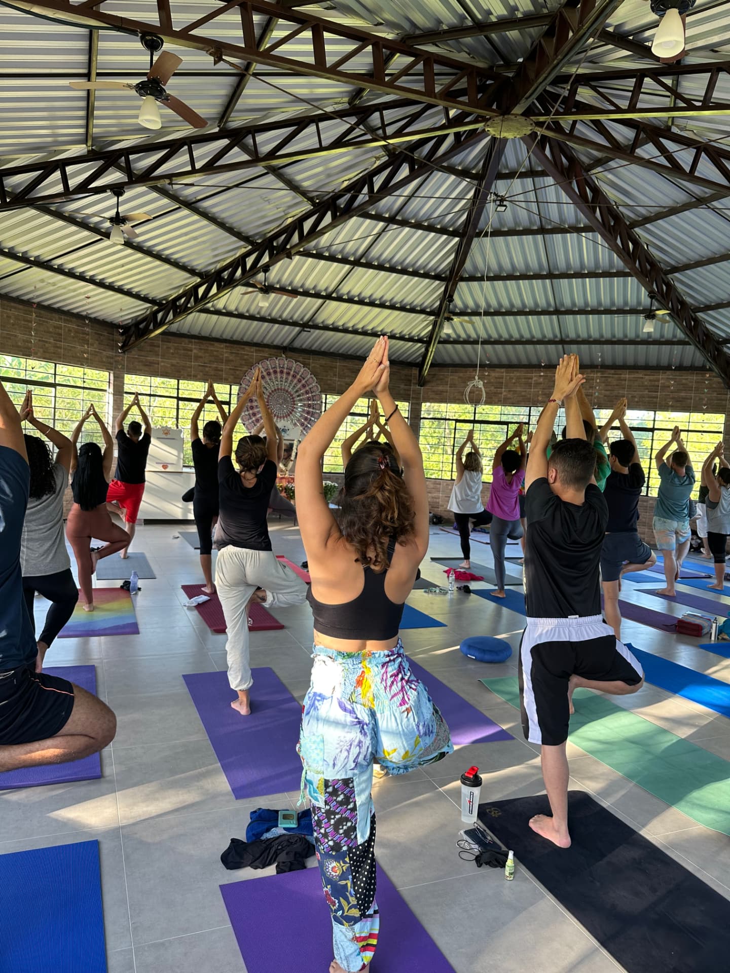 Grupo praticando yoga em postura da árvore em um salão aberto para a mata